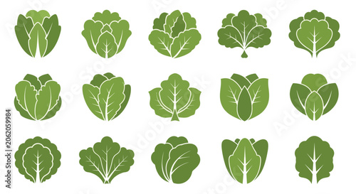 Fotografija Collection of Fresh Green Leafy Vegetable Icons.