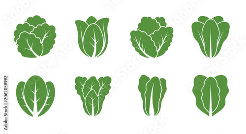 Tableau sur toile Collection of Fresh Green Lettuce and Cabbage Varieties for Healthy Eating