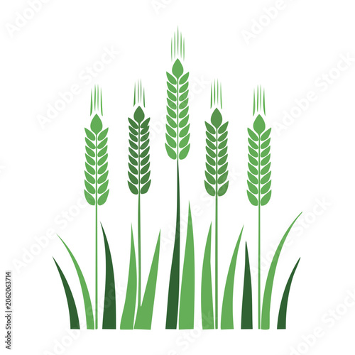 Flat design vector grass isolated