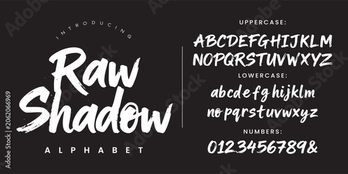 Raw Shadow Alphabet Font Typography Set Featuring Rough Brush Script Letters for Creative Branding