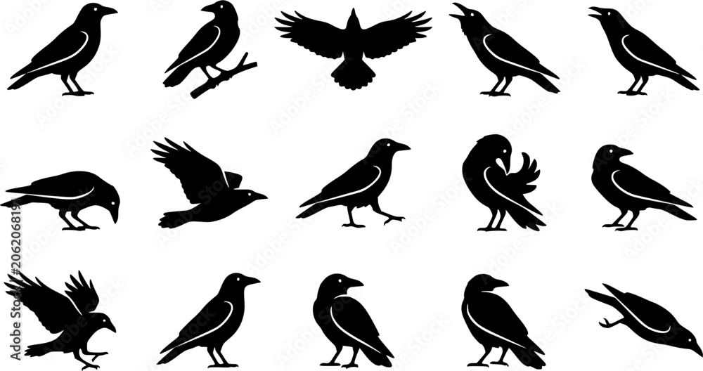 Obraz premium Carrion Crow silhouette icon set, flat black glyph style, pure white background