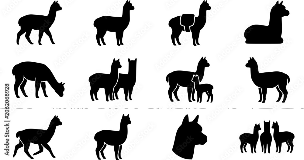 Fototapeta premium Alpaca silhouette icon set, flat black glyph style, pure white background