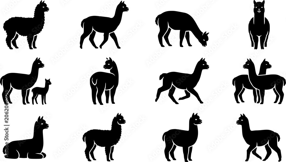Fototapeta premium Alpaca silhouette icon set, flat black glyph style, pure white background