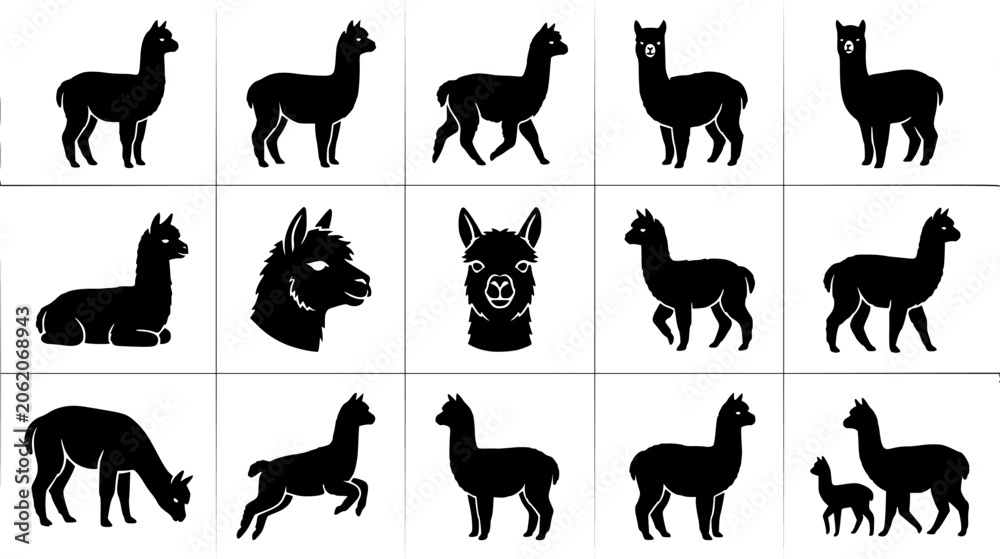 Fototapeta premium Alpaca silhouette icon set, flat black glyph style, pure white background