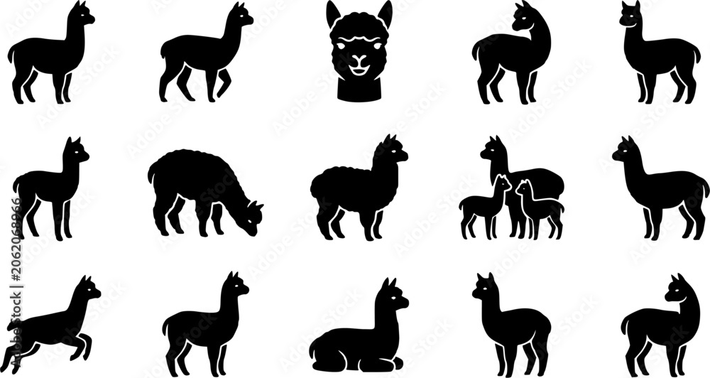 Fototapeta premium Alpaca silhouette icon set, flat black glyph style, pure white background
