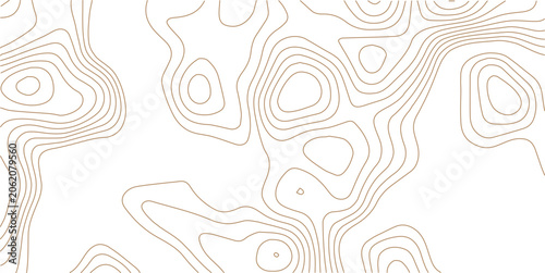 Abstract topographic contours map background. Topography white wave lines vector background. Topographic map Patterns, Topographic map and place for texture. Wavy curve lines banner design.