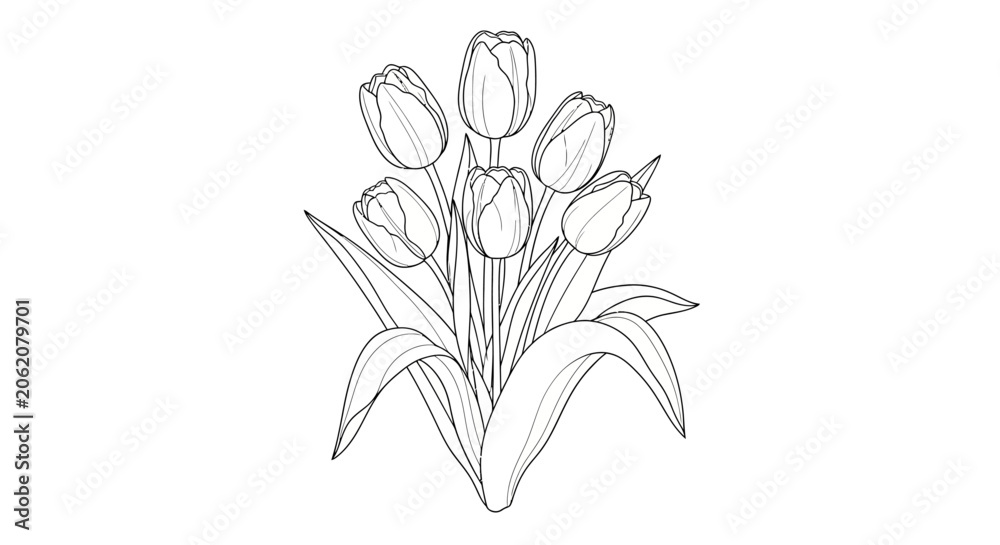 Obraz premium Tulip bouquet, flower illustration, line art, minimalist floral design, black and white