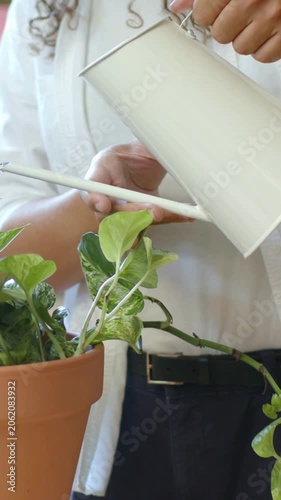 Vertical video: Caregiver in white tee lifting watering can pouring over terracotta pot for plants