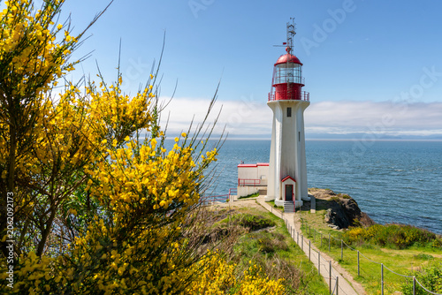 Historic Sheringham Point Lighthouse Vancouver Island Scotch Broom. Sheringham Point lighthouse on Vancouver Island overlooking the Strait of Juan de Fuca. 
