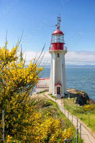 Historic Sheringham Point Lighthouse Vancouver Island Scotch Broom vertical. Sheringham Point lighthouse on Vancouver Island overlooking the Strait of Juan de Fuca. 
