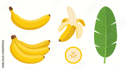 Fresh yellow bananas collection with palm leaf