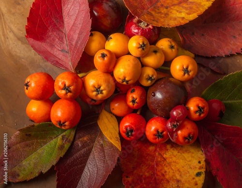 A vibrant arrangement of autumnal leaves and berries in shades of orange, red, and yellow