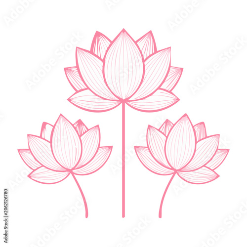 Minimalist pink flower vector ornament