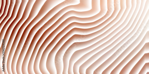 Abstract macro view of mushroom gills organic wavy texture pattern with mushroom