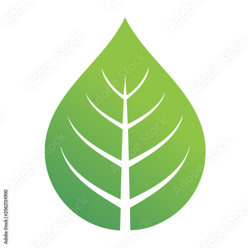 Green leaf icon with veins on transparent background
