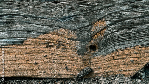 Cuadro en lienzo Horizontal macro shot of weathered wood log with deep cracks, natural brown and grey grain, and an insect hole or wood borer damage