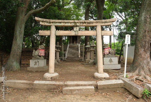 Φωτογραφία Front view of Atago Shrine with a stone torii gate and stone steps at Inano Shri