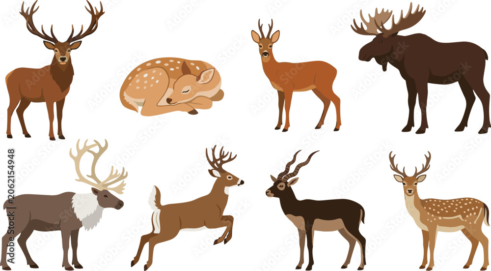 Obraz premium Deer Species Vector Character Icon Set Featuring Red Deer Stag Sleeping Fawn Roe Moose Reindeer Caribou Whitetail Antelope and Spotted Fallow Deer