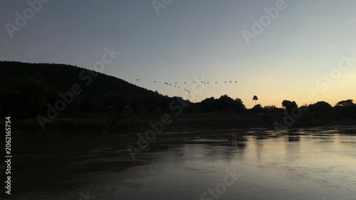 Flock of birds flying over Mekong River at sunset