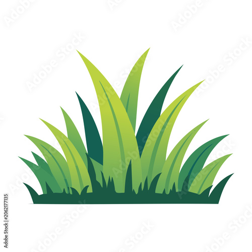 Snake plant flat design vector isolated