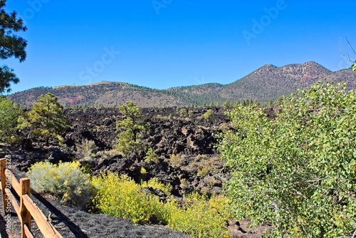 View of the Bonito Lava Flow at Sunset Crater Volcano National Monument, Flagstaff, Arizona. A cinder field is in the foreground, along with vivid yellow flowers, and a lava field and Sunset Crater.