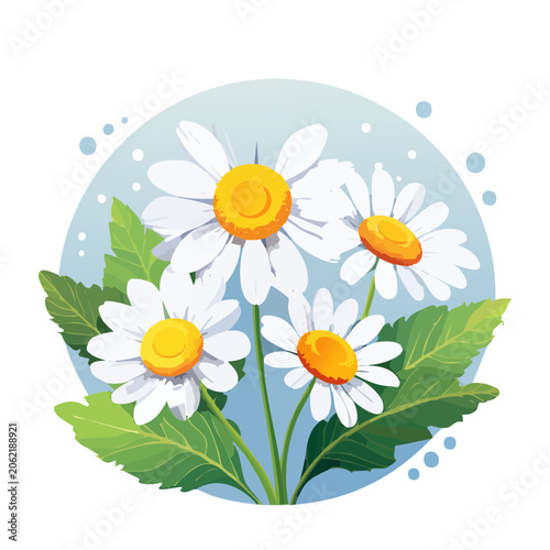 White daisies with green leaves in circular frame