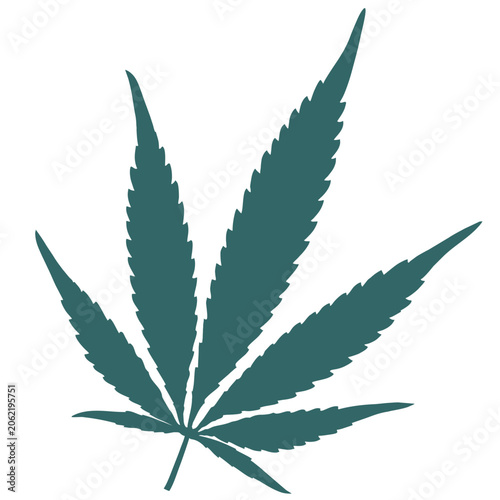 cannabis leaf 
