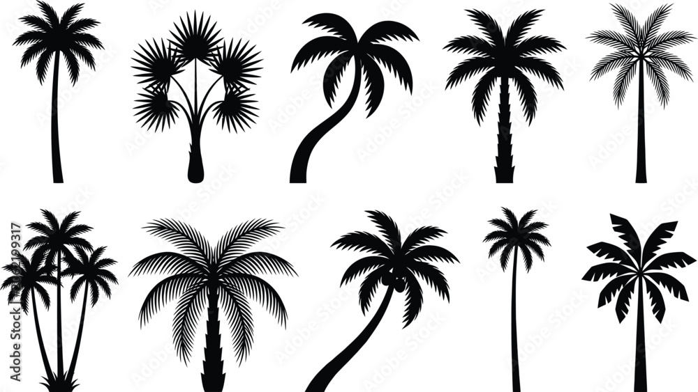 Fototapeta premium Collection of palm tree silhouettes isolated on white background in vector style