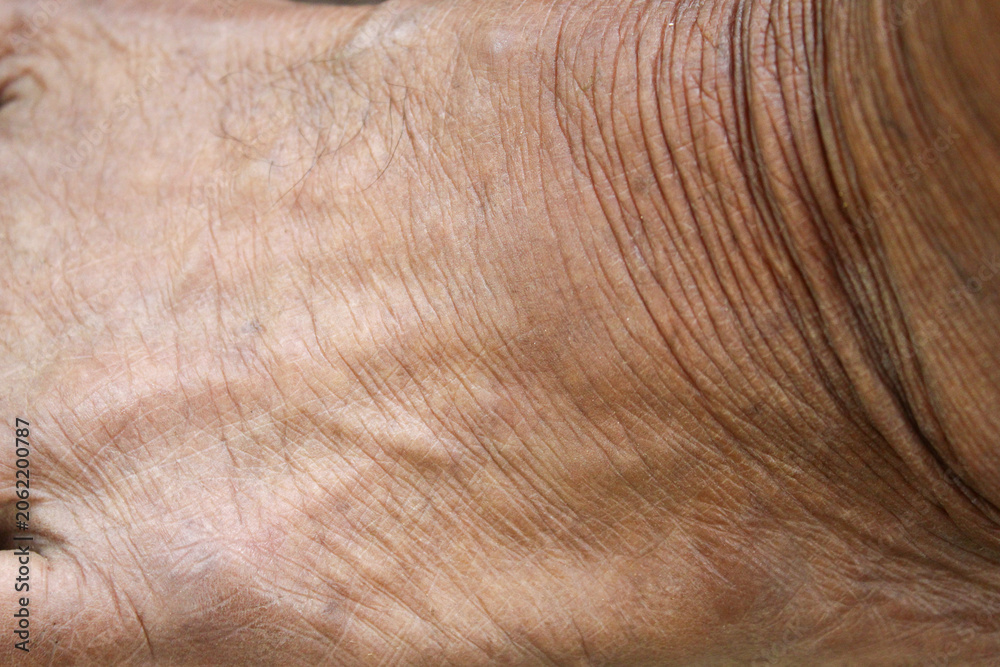 Naklejka premium wrinkled old man's skin texture with clear fold details