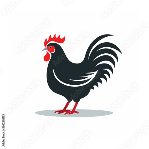 Flat design rooster icon vector