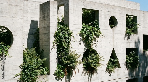 Modern concrete wall featuring geometric cutouts and green plants growing in natural sunlight conditions