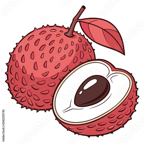 vector illustration of  lichi free download 