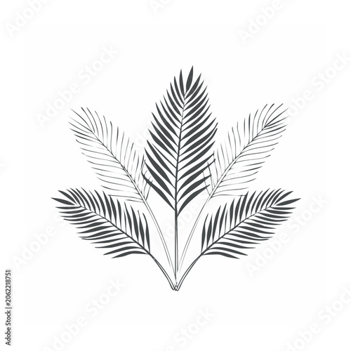 Black and white feather line art vector