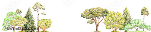pencil drawing green conifer trees on white, forest landscape, nature background, hand drawn illustration