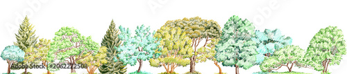 pencil drawing green conifer trees on white, forest landscape, nature background, hand drawn illustration