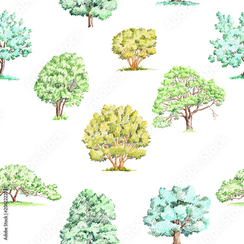 seamless pattern with pencil drawing green trees on white, nature background, hand drawn illustration