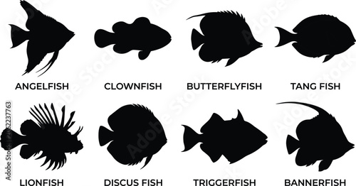 Obraz na płótnie Tropical Fish Silhouette Collection Featuring Angelfish Clownfish Butterflyfish