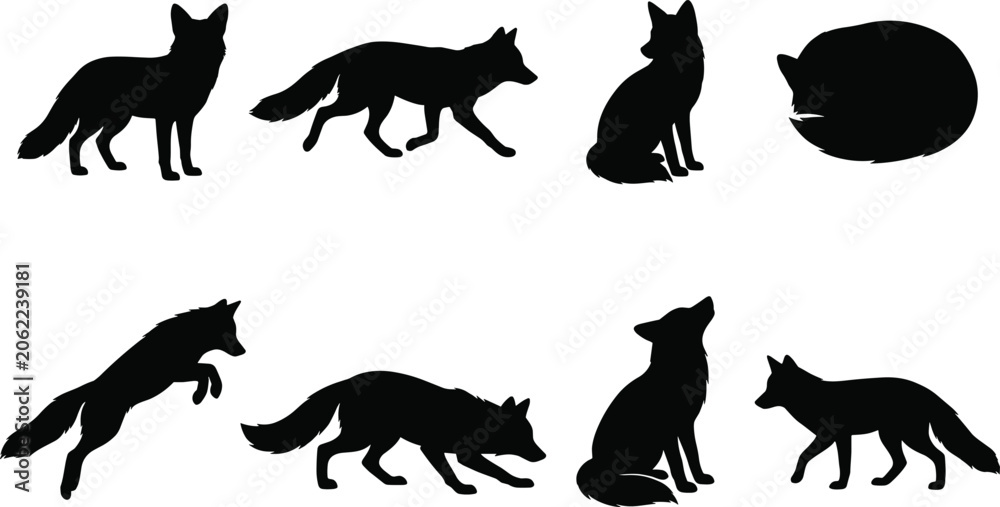 Obraz premium Fox Silhouette Collection Set with Running Jumping Sitting and Sleeping Poses
