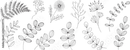 Hand-drawn botanical and delicate plant sprigs in a simple, clean line style for natural accents botanical plant sprigs