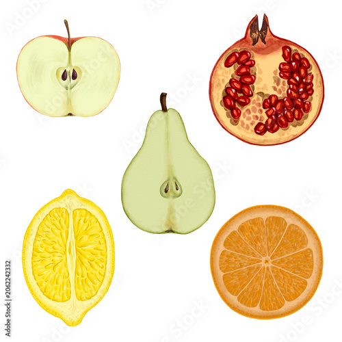 drawing halfs of fruits isolated at white background, hand drawn illustration