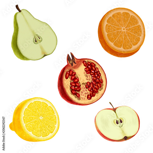 drawing halfs of fruits isolated at white background, hand drawn illustration