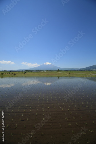 御殿場市の田園風景