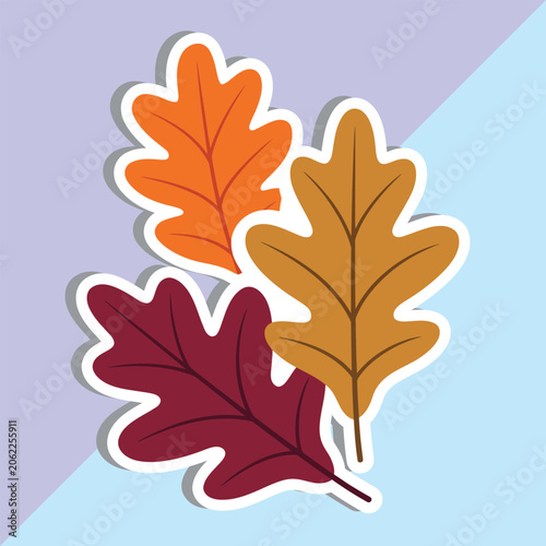 Autumn Oak Leaves Sticker Vector Illustration, Colorful Fall Foliage Graphic Element, Cute Seasonal Die Cut Decal on Pastel Background