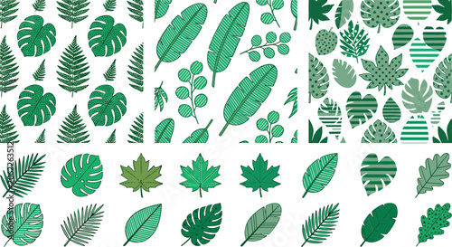 Green Foliage Seamless Pattern and Leaf Collection Vector Featuring Textured Monstera Palm Banana Maple and Oak Icons for Exotic Jungle Botanical Designs