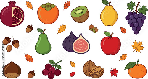 Autumn Harvest Fruit and Nut Collection Vector Featuring Pomegranate Persimmon Kiwi Pear Grape Fig Apple Tangerine Cranberry Walnut Chestnut and Acorn Icons