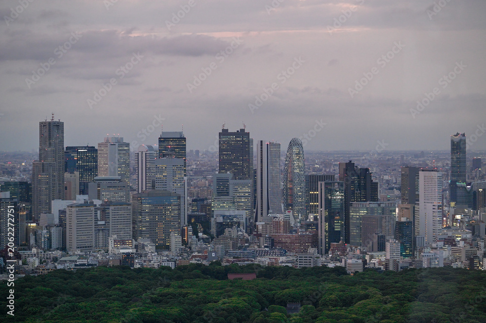 Fototapeta premium 爽やかな空、東京湾へと広がる高層ビル群の東京都市景観を見渡す眺め