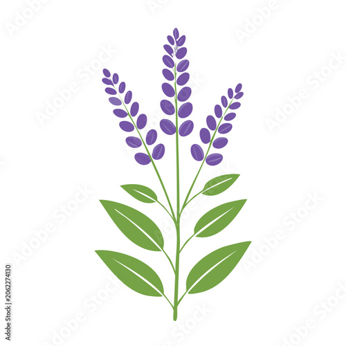 Flat design illustration of a lavender plant with purple flowers and