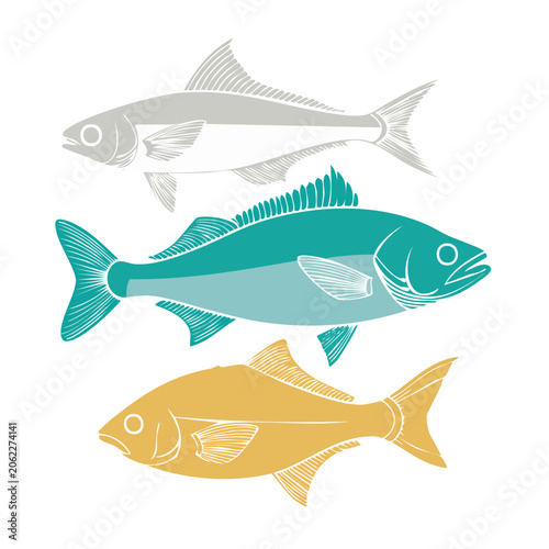 Flat design illustration of tropical fish
