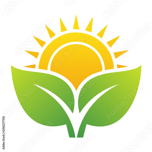 Sun and leaves icon in flat design