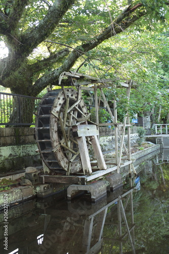 水辺の水車